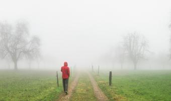 Nebel