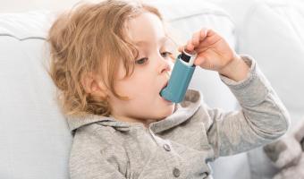 Allergie Asthma Auslöser
